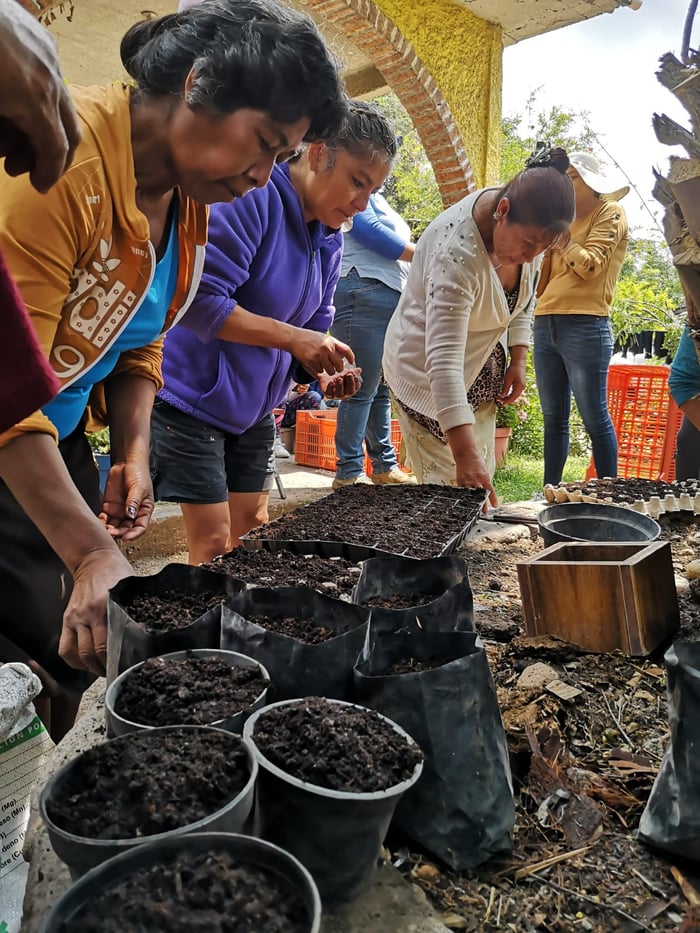 8b846f2e-5068-462e-b61d-a53245a3fa2e