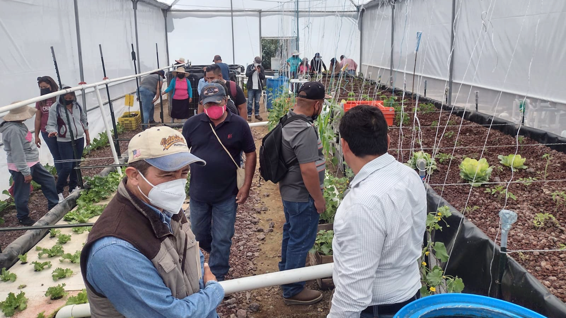 aquaponics view