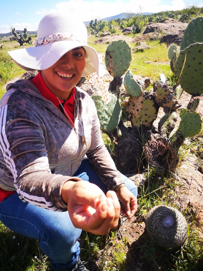 b5067e31-34ab-4af1-b68c-74a29d593afa-1