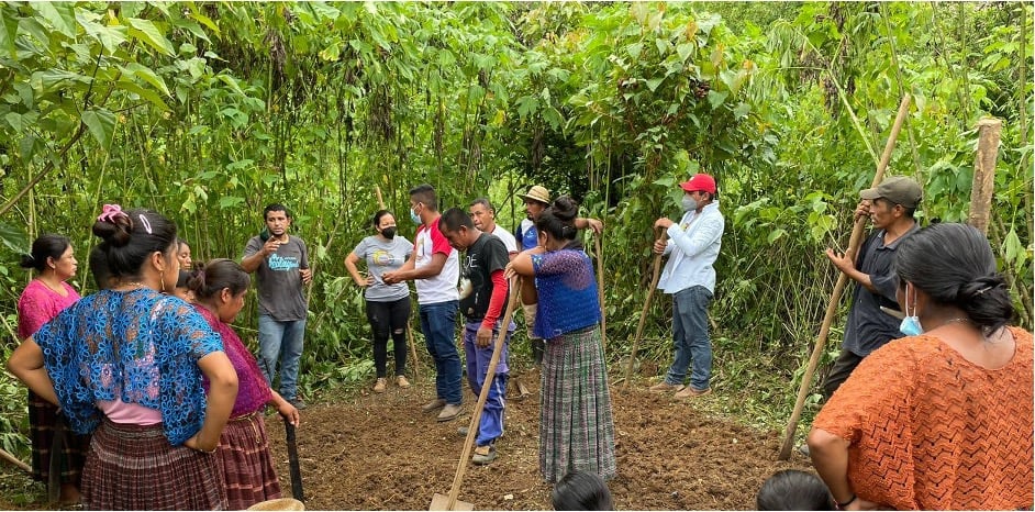 digging in guatemala